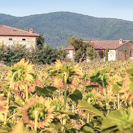 Tulipano Appartement Pievescola Buitenkant foto